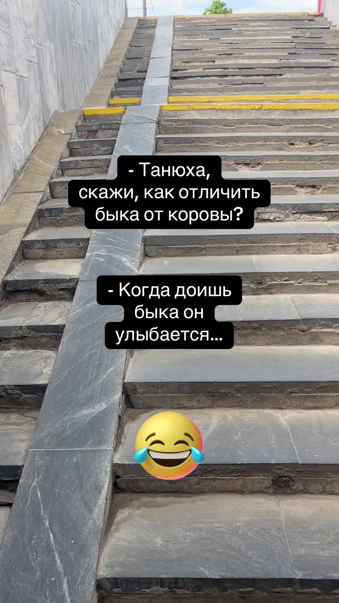 @Tatyana_Alekseeva48