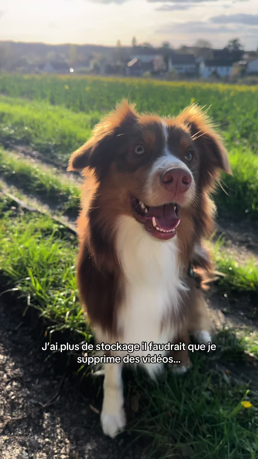 @Lucie
