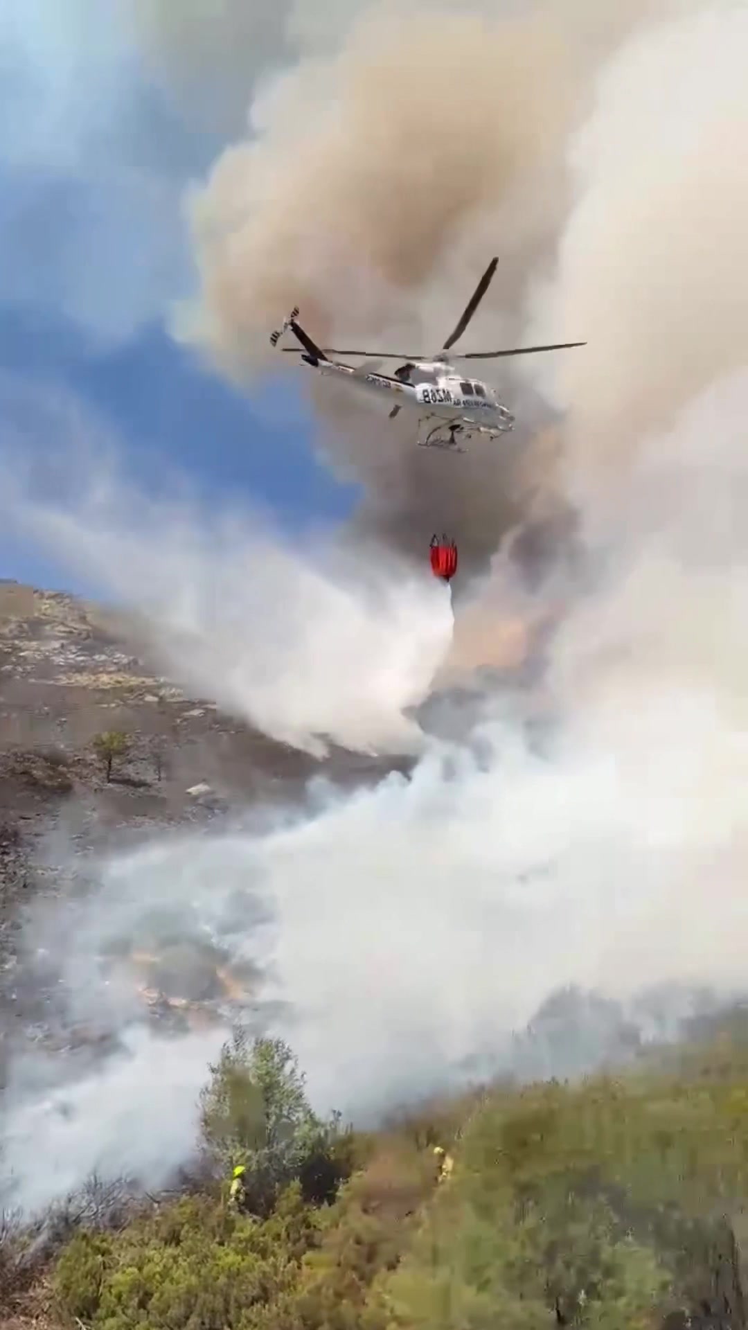 @Bombero Forestal