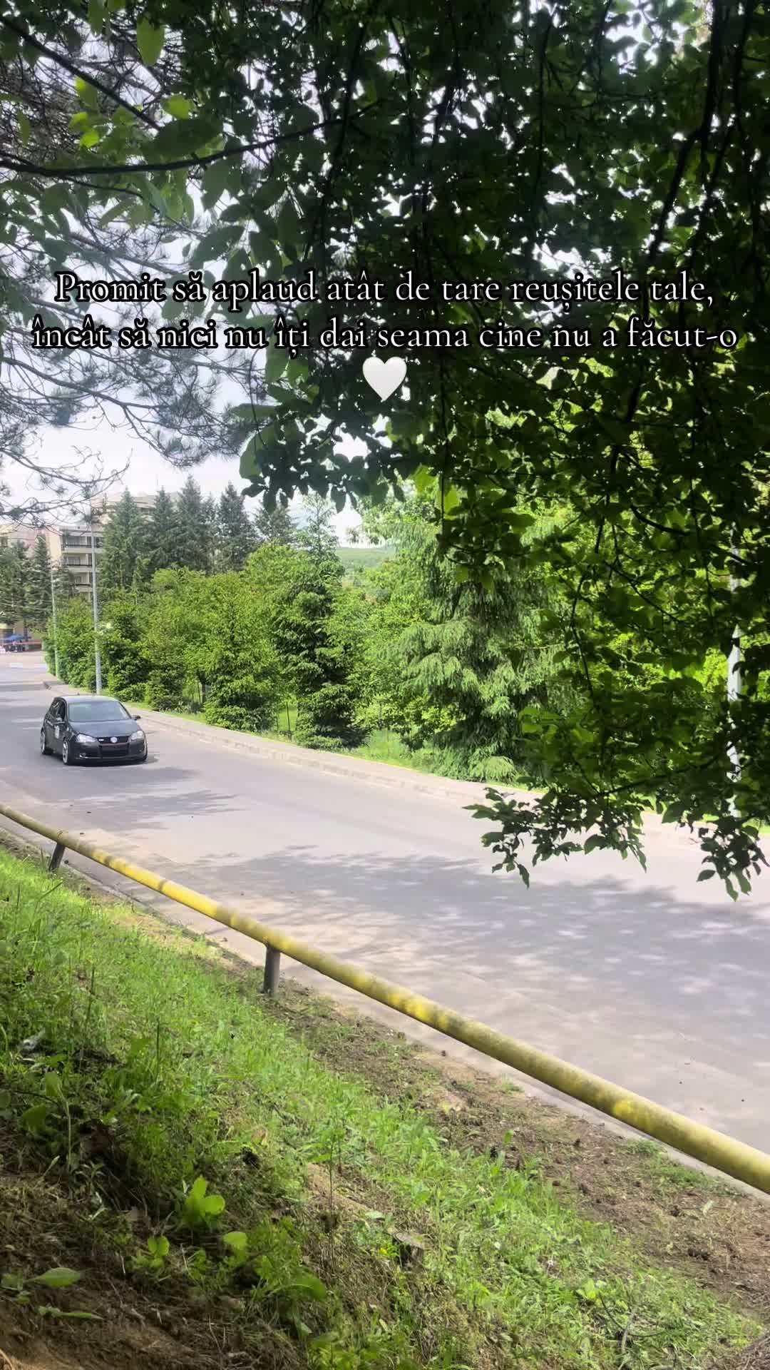 @Alisa BM