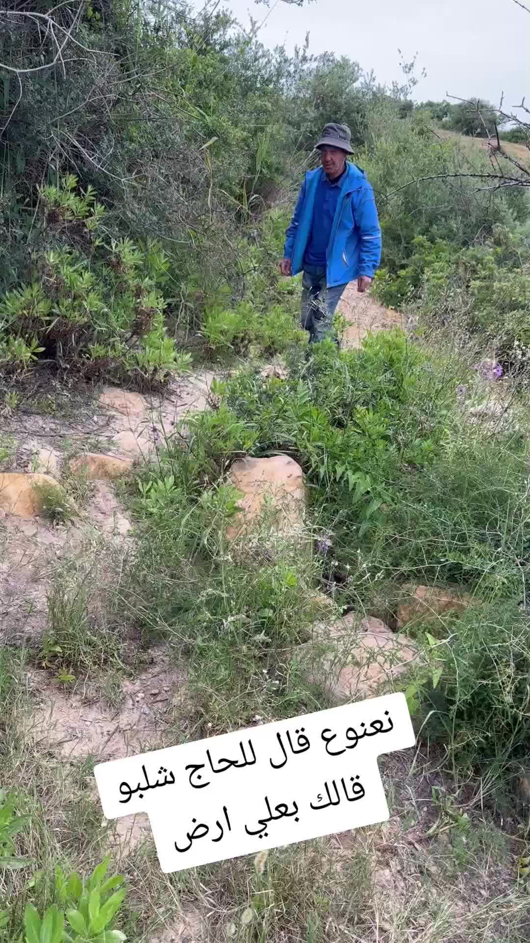 @الحاج نعنوع