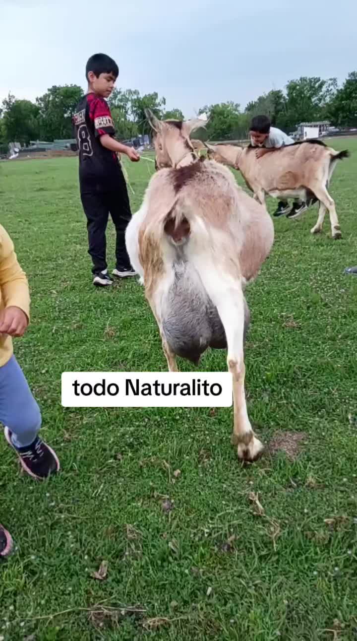 @Ranchoelnaturalito