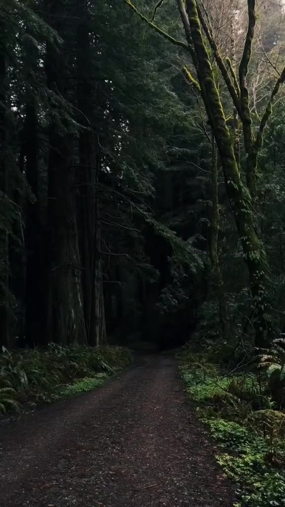 @Skyline