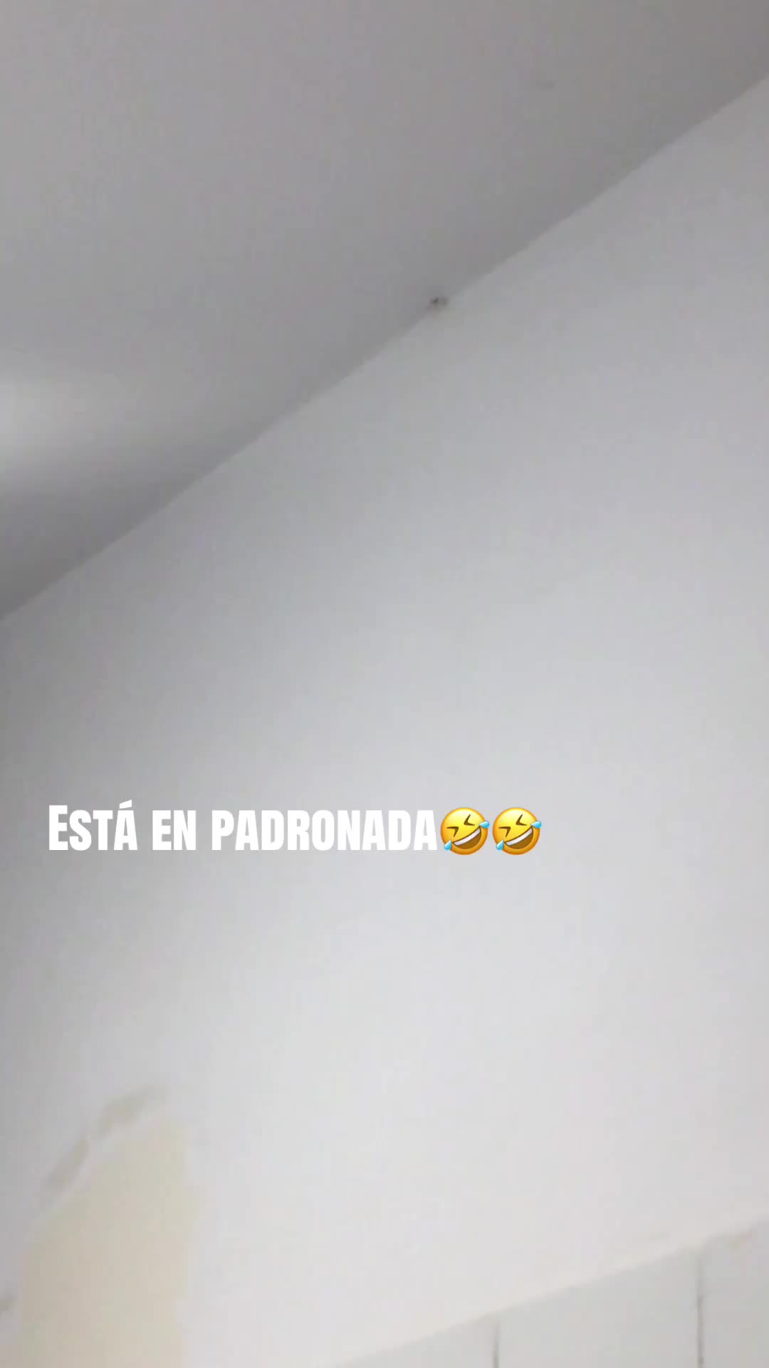 @sulaydani