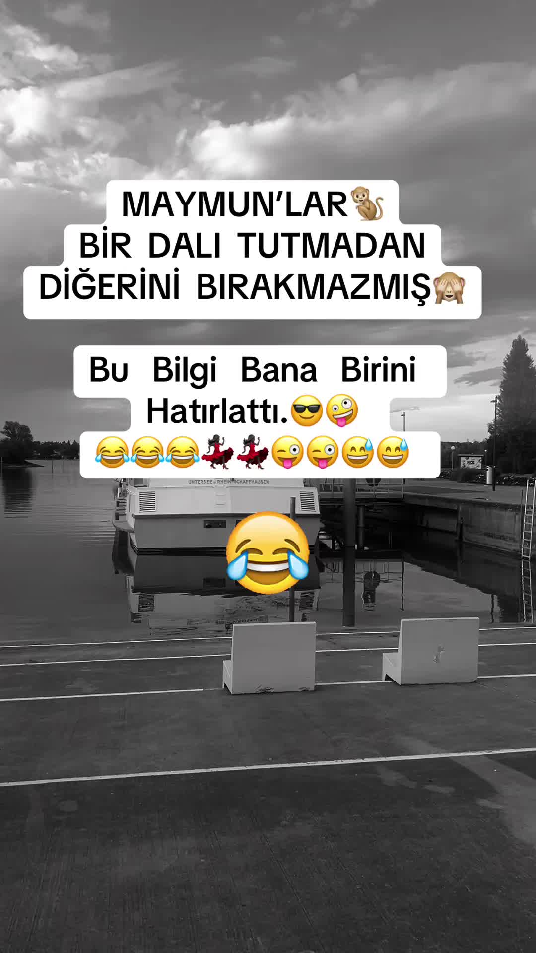 @✨🤍Ayliz_S🤍✨