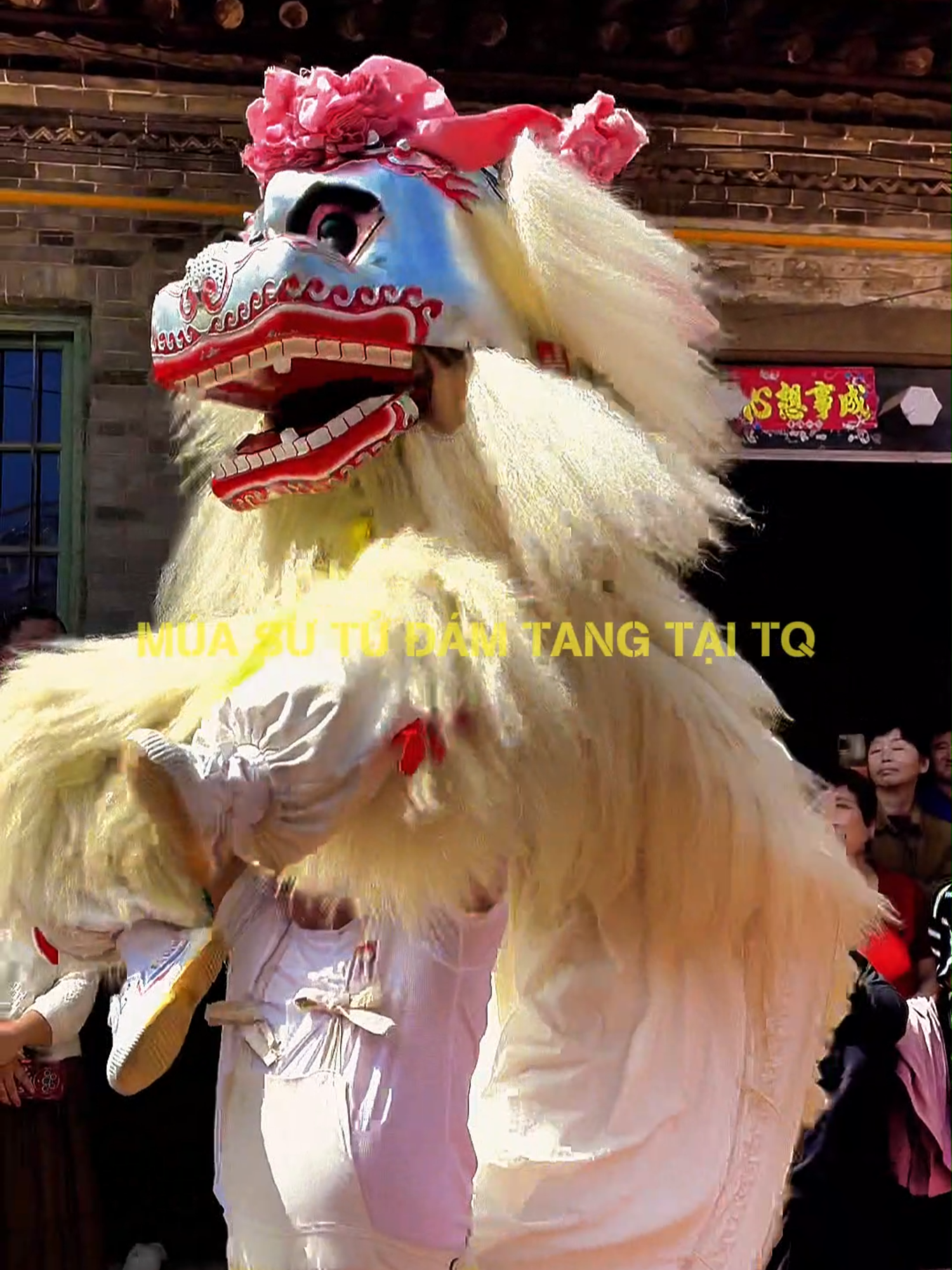@Cốc Nguyệt Nương