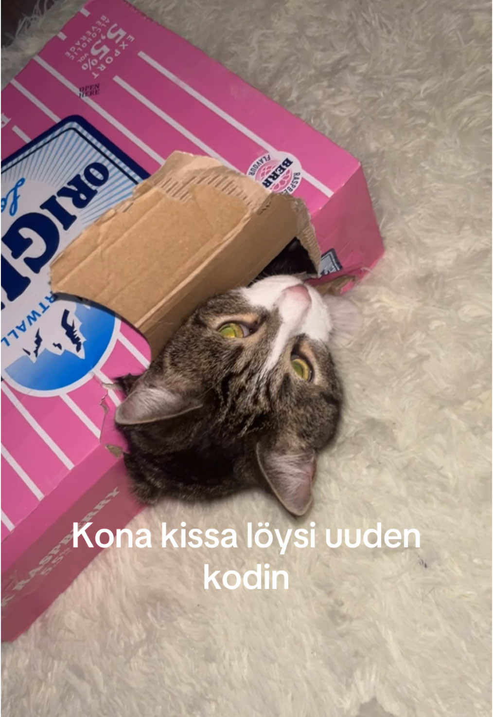 @𝓢💎