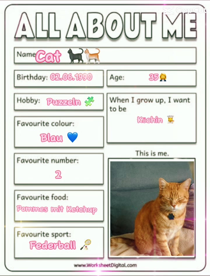 @Cat 💙