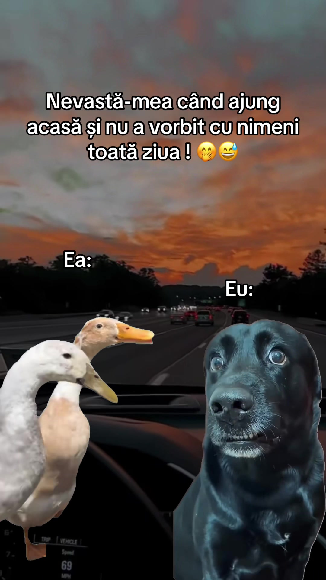 @Ionut17