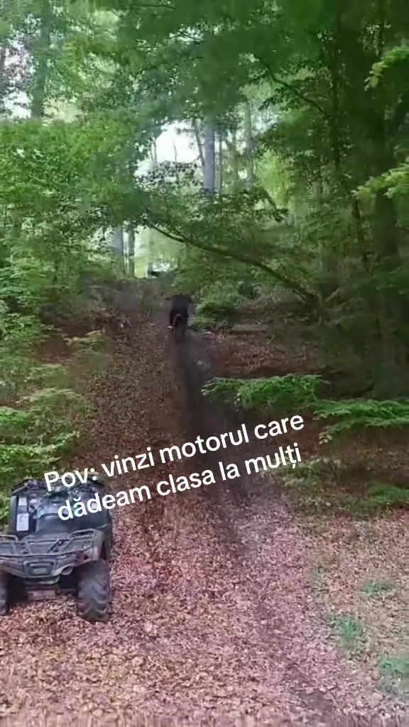 @Alex