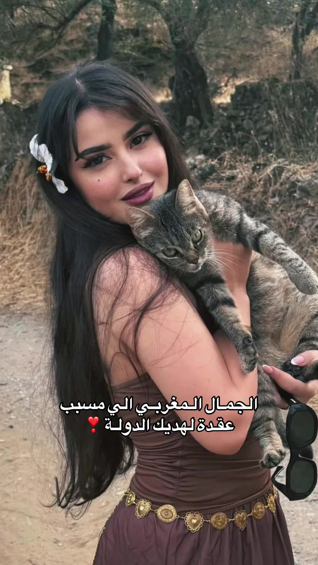 @Kingdom