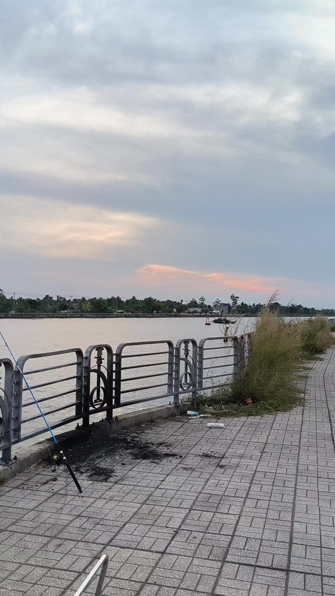 @Thợ Săn HuGo 🐟