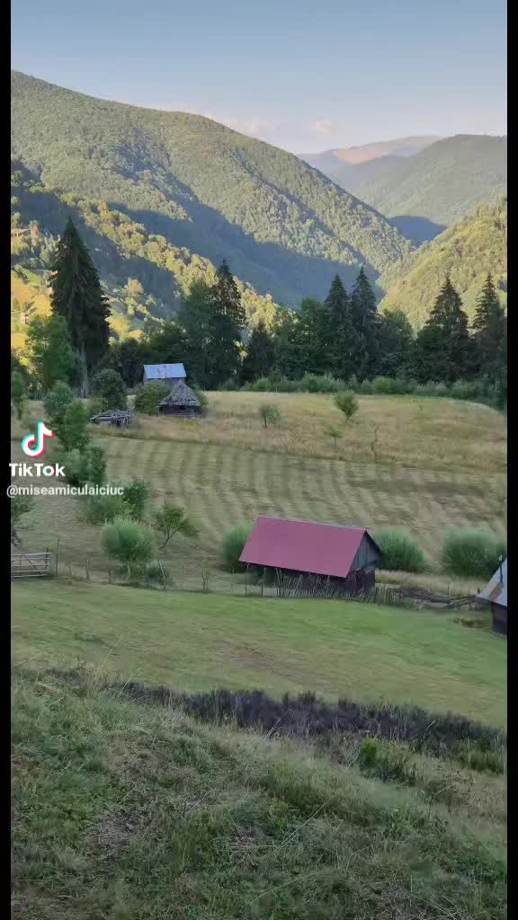 @costelcorduneanu60
