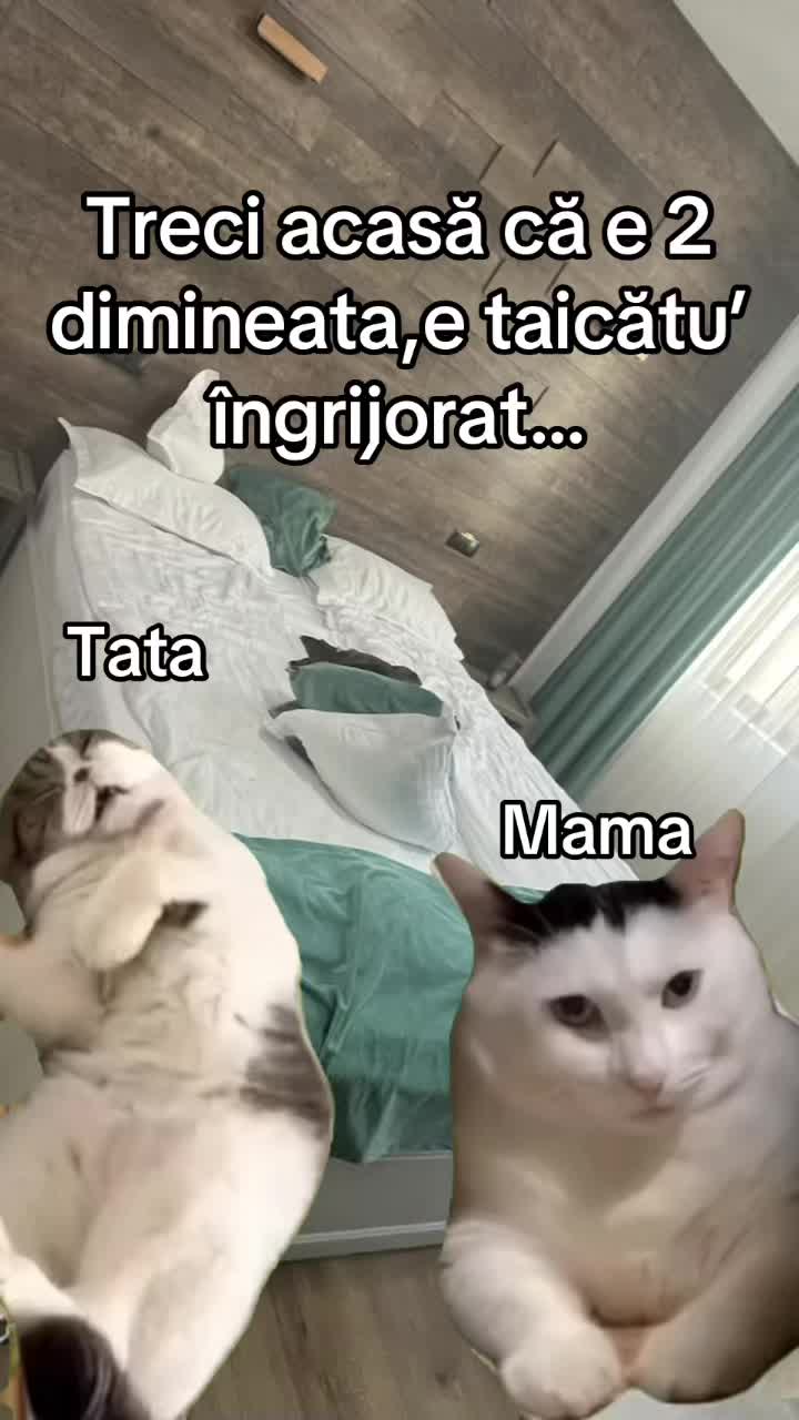 @𝒥𝒶𝓃𝒸𝒶&deg;