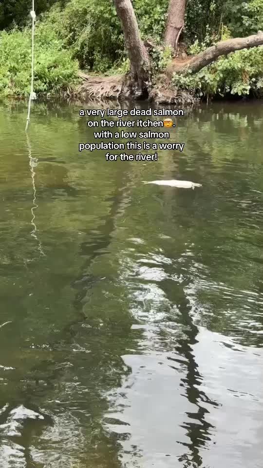@kh.angling