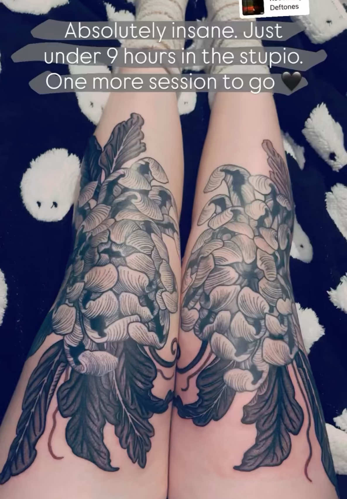 @𝔞𝔪𝔟𝔢𝔯🦇🧩