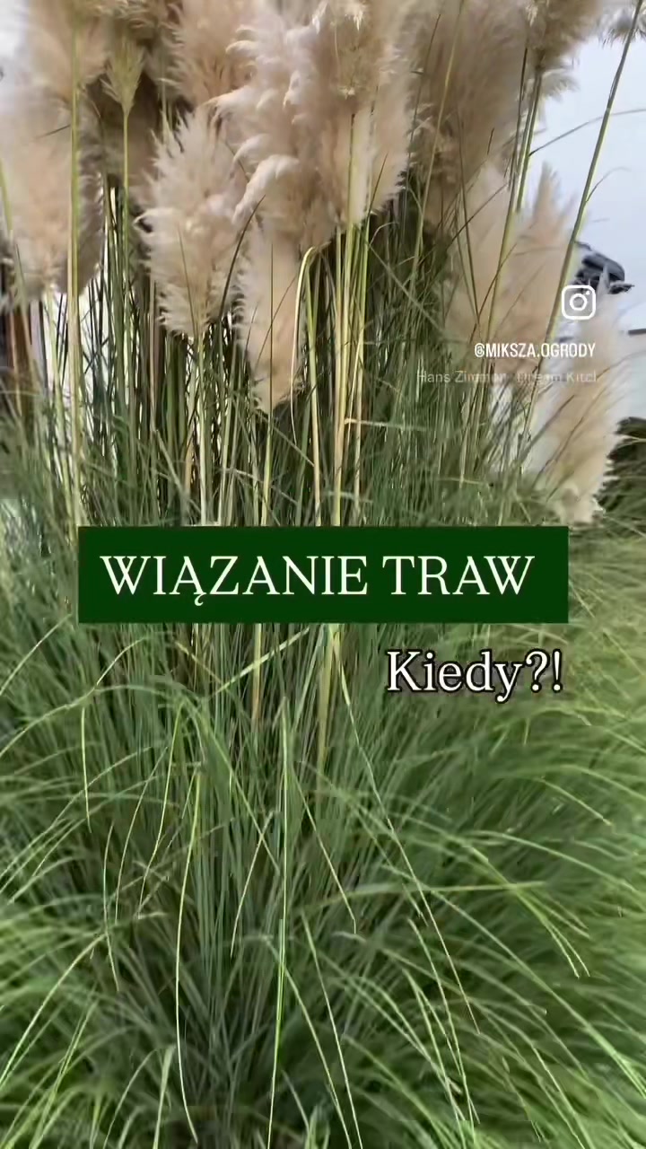 @miksza.ogrody