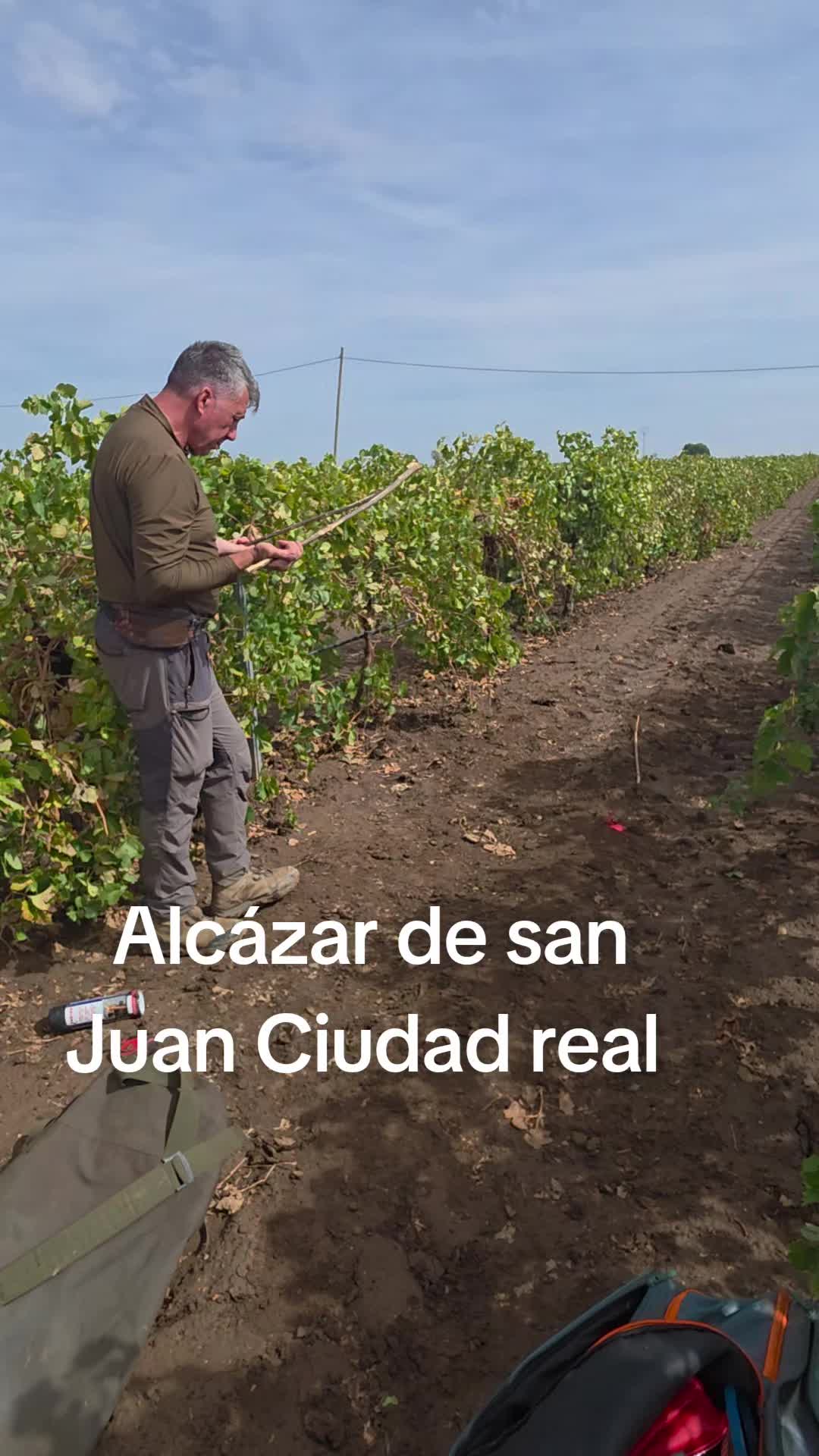 @Zahori Blas Moreno