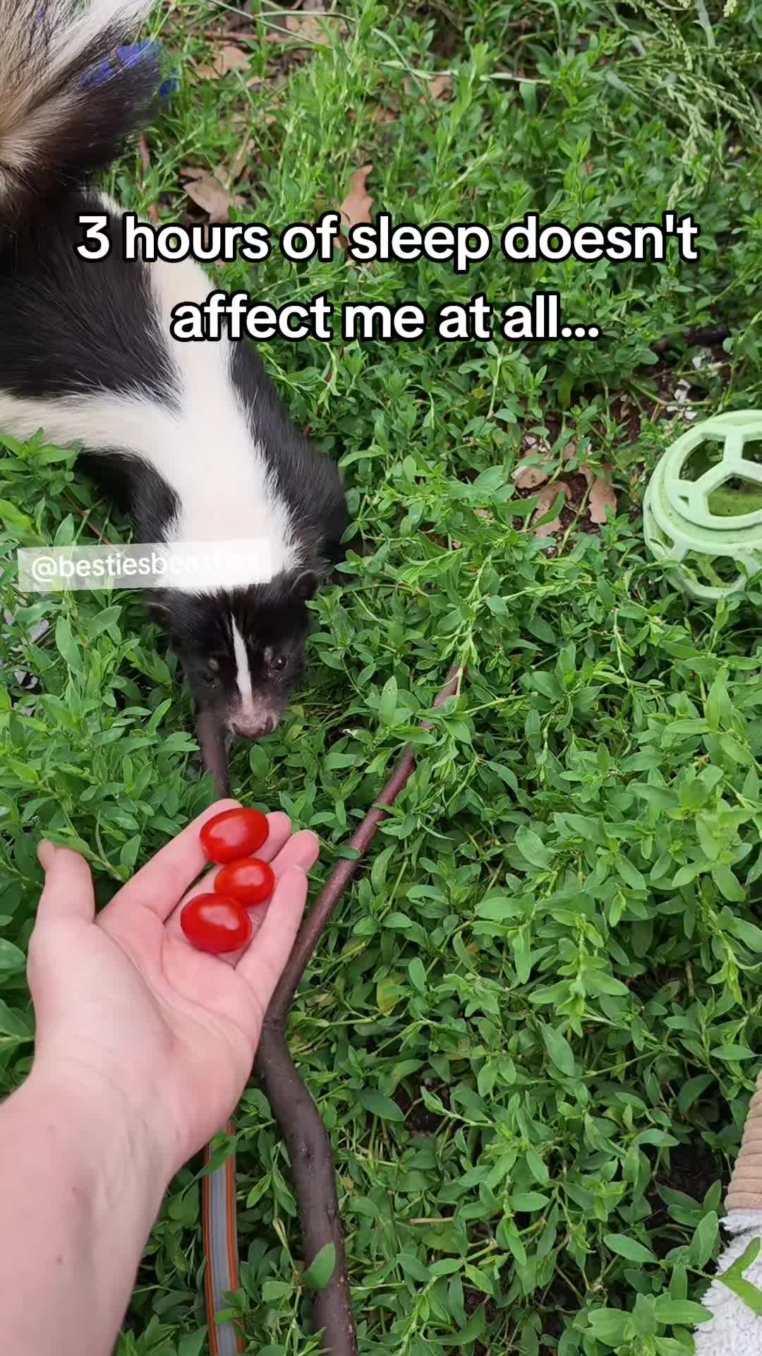 @Bestiesbeasties