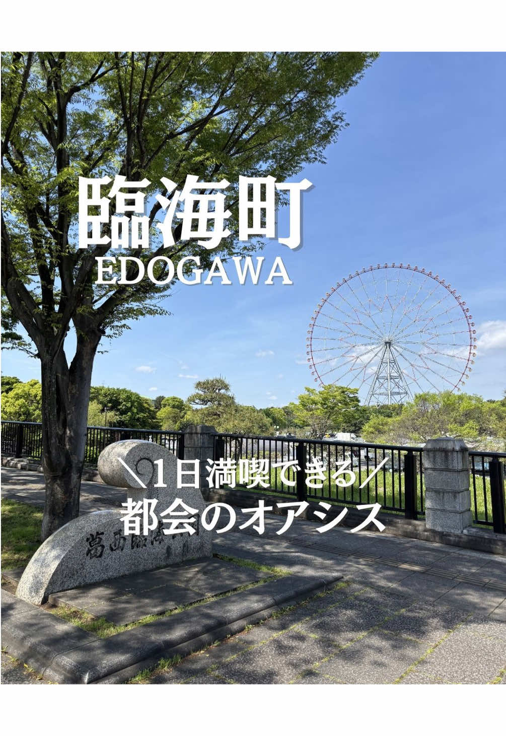 @ことり〻江戸川区 まちの魅力再発見
