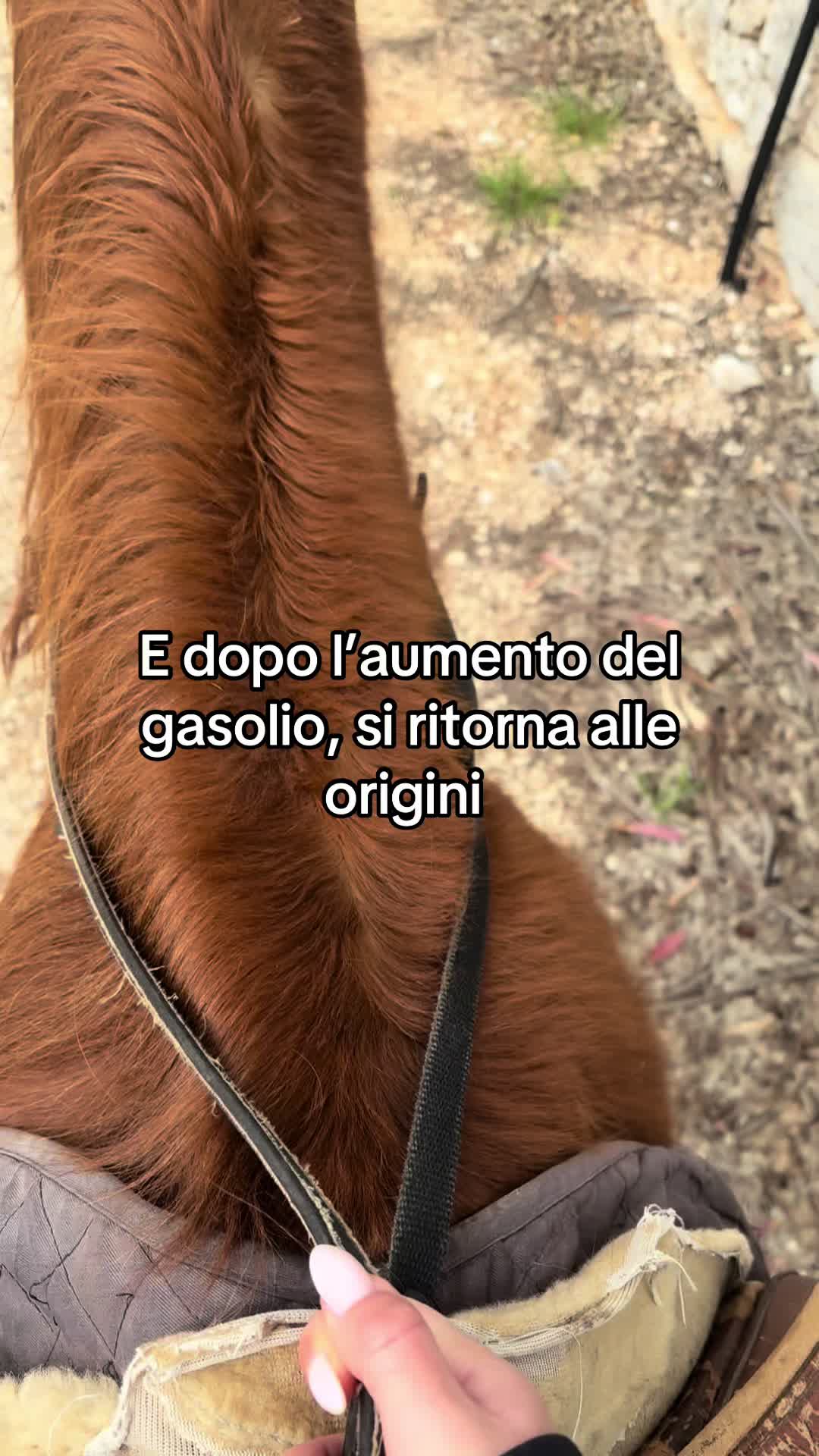 @Nicoledecarne