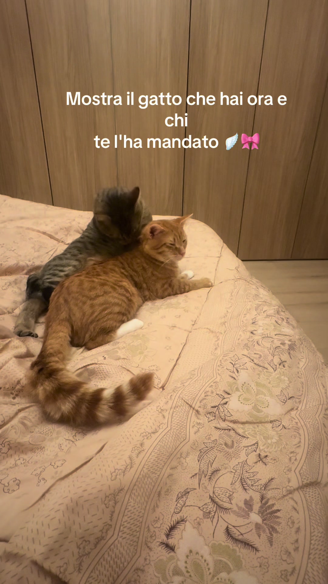 @Elisa Boni