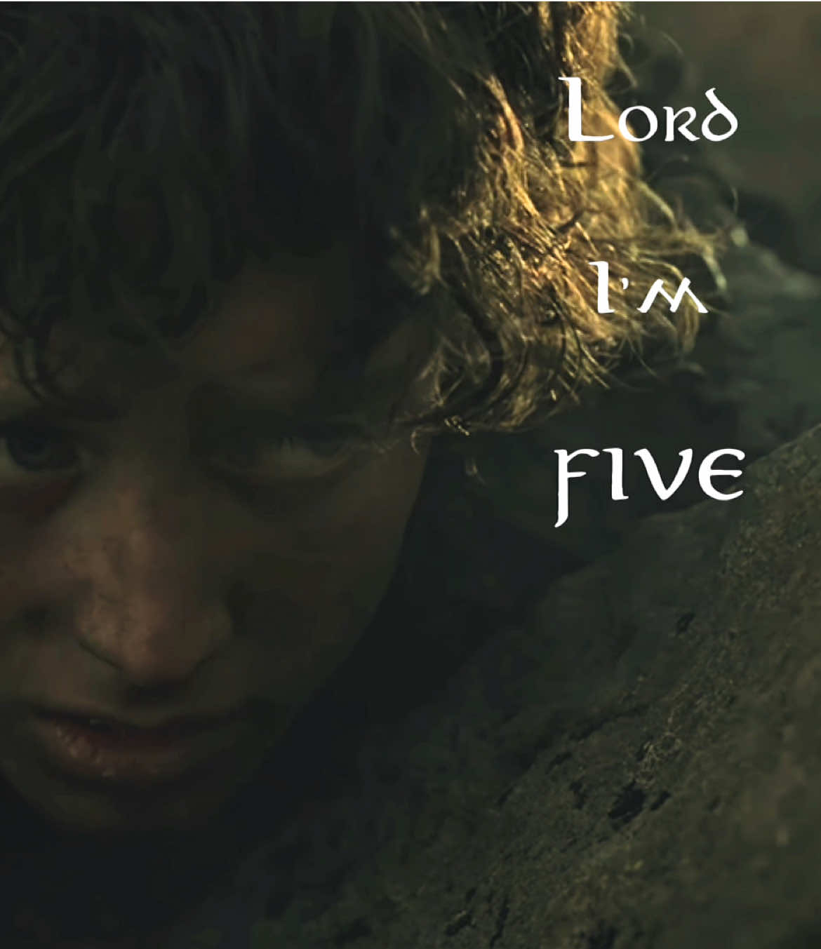 @✨Samwise the brave✨