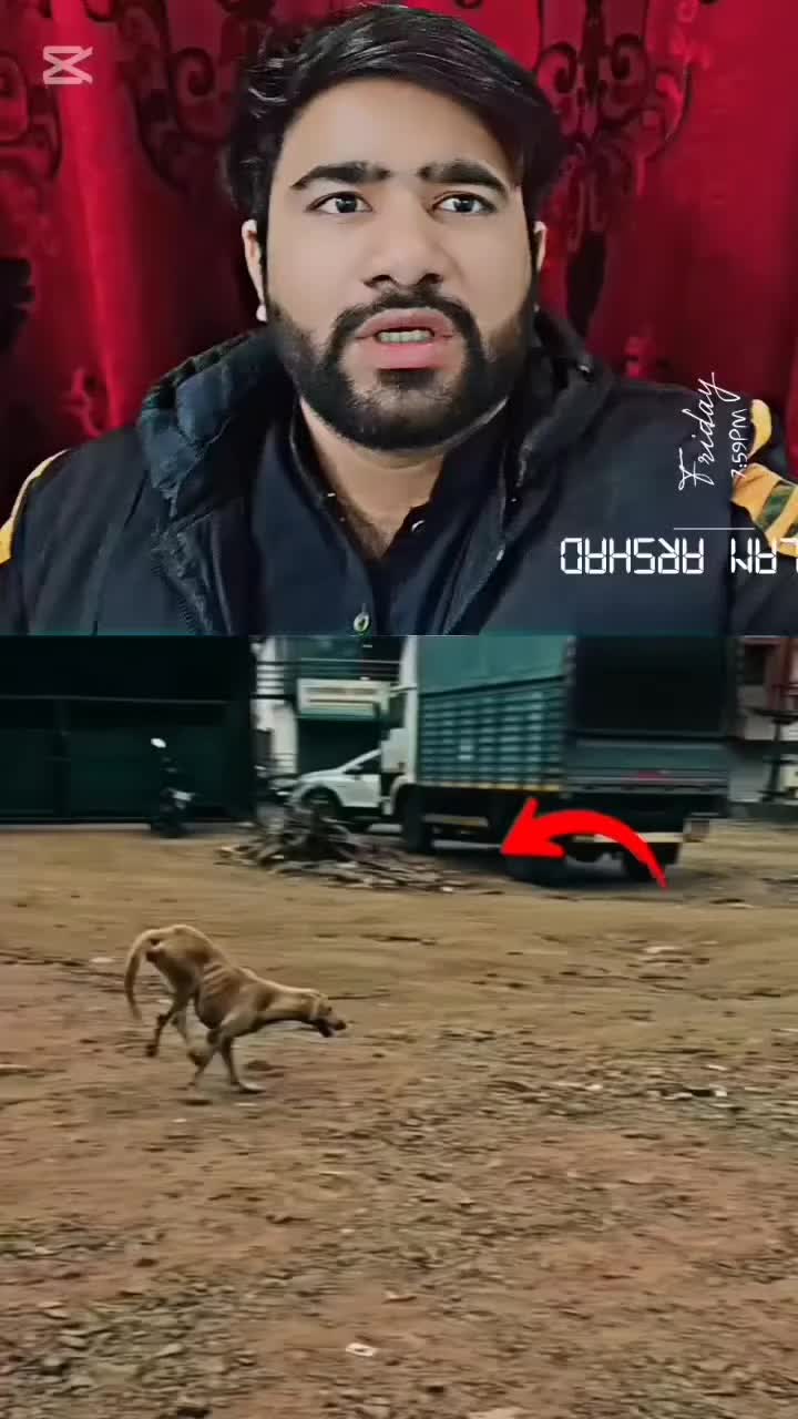 @manoreacts