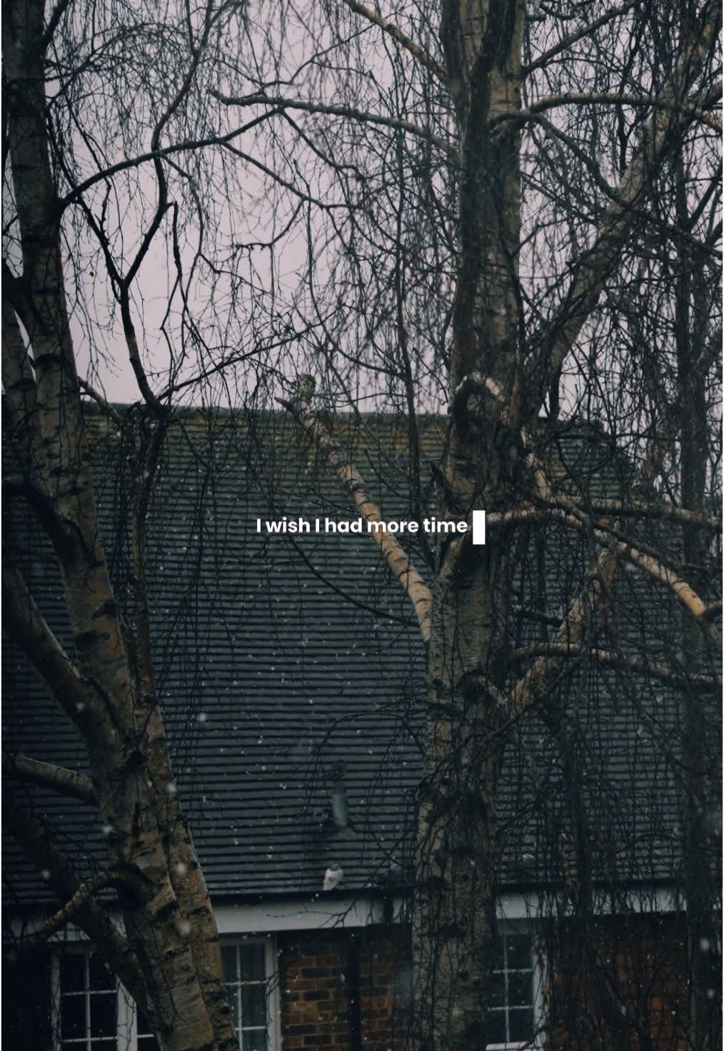 @hollysgriefjournal
