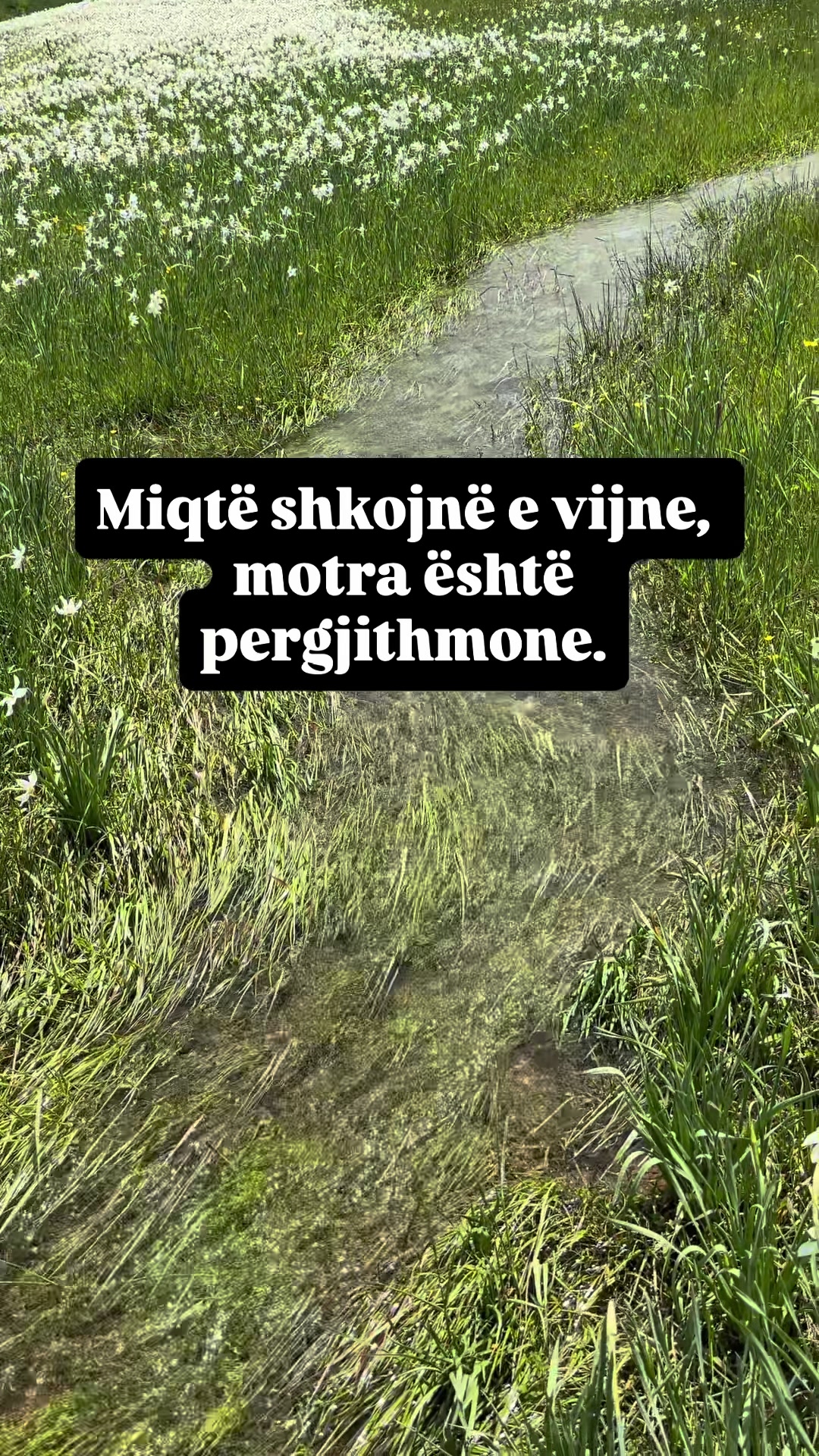 @🦋💎🇦🇱MIDE💎🦋🇦🇱