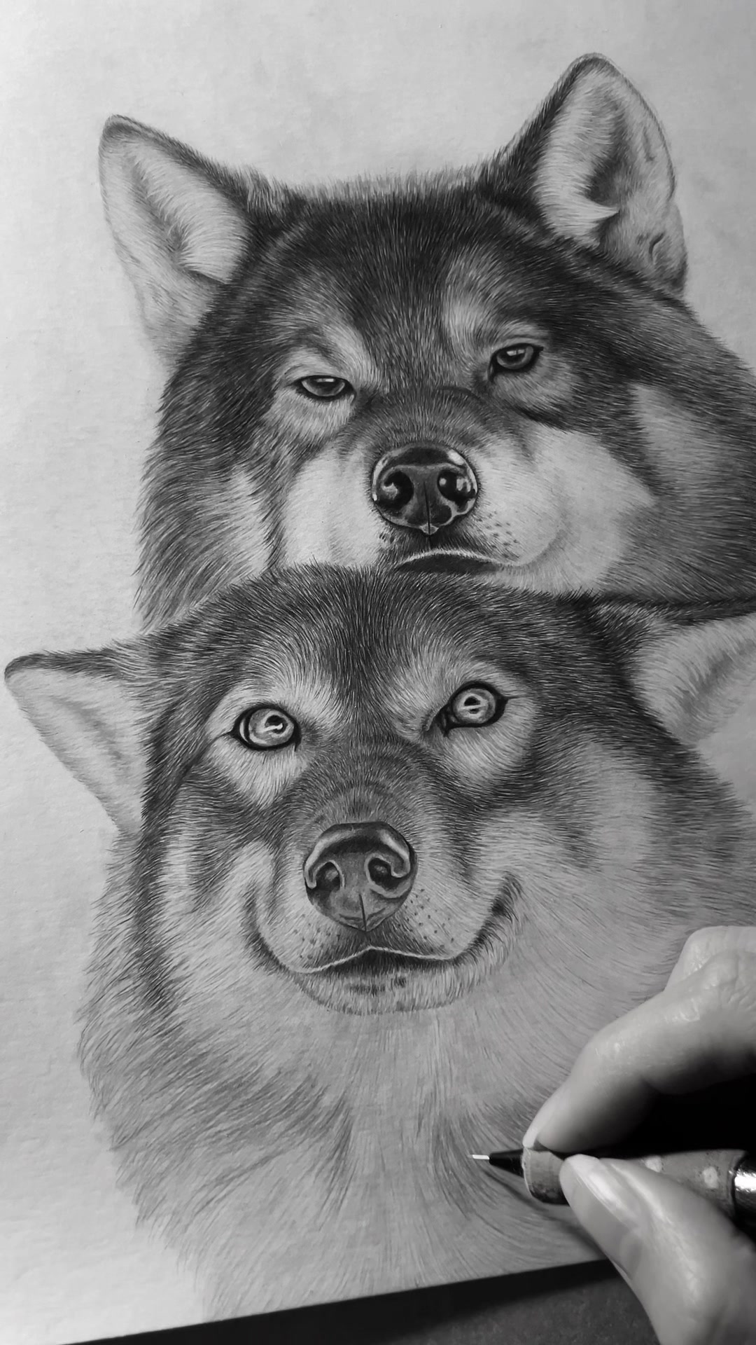 @petrakonecnaportrait