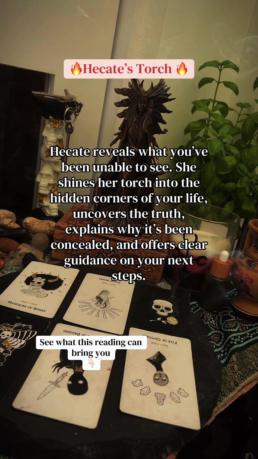 @Maple Magick