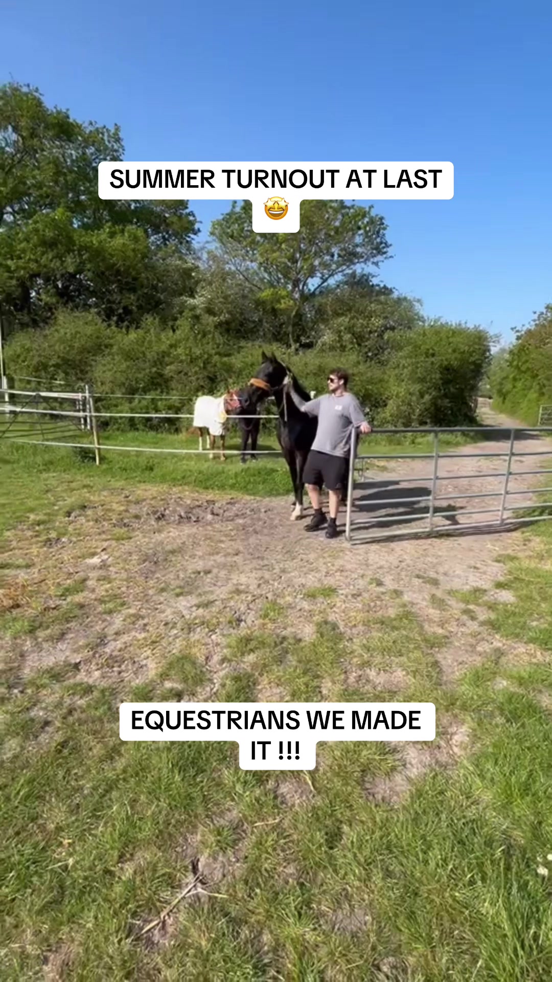 @Charlotte.Equestrian