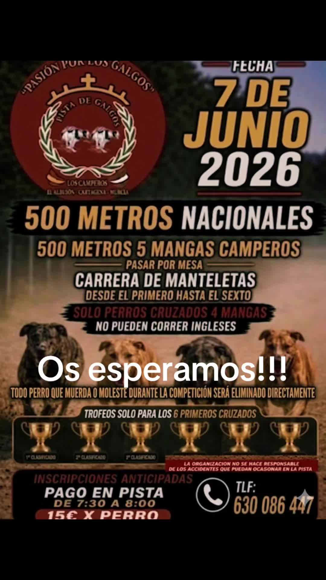 @El_Pencho_Cinegeticas