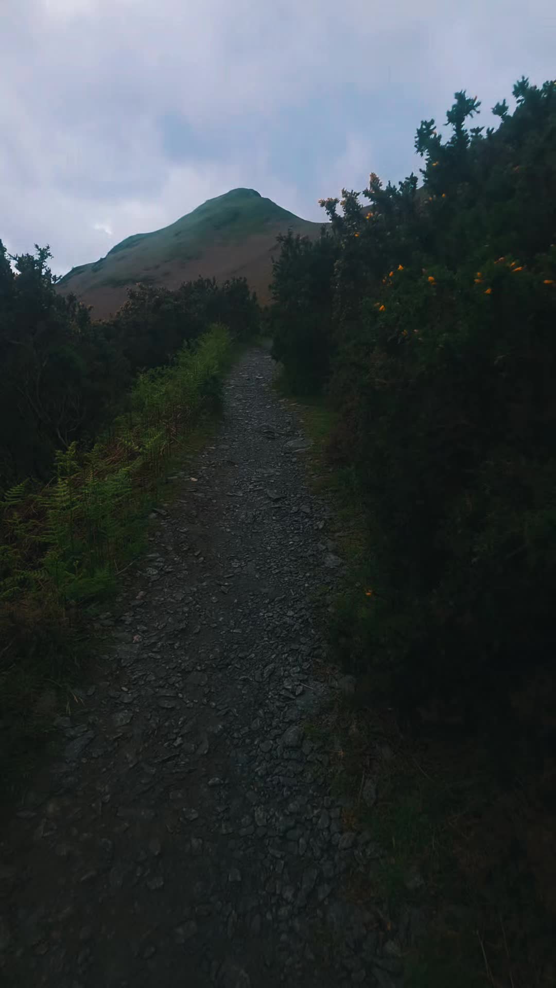 @Northern Wayfarer