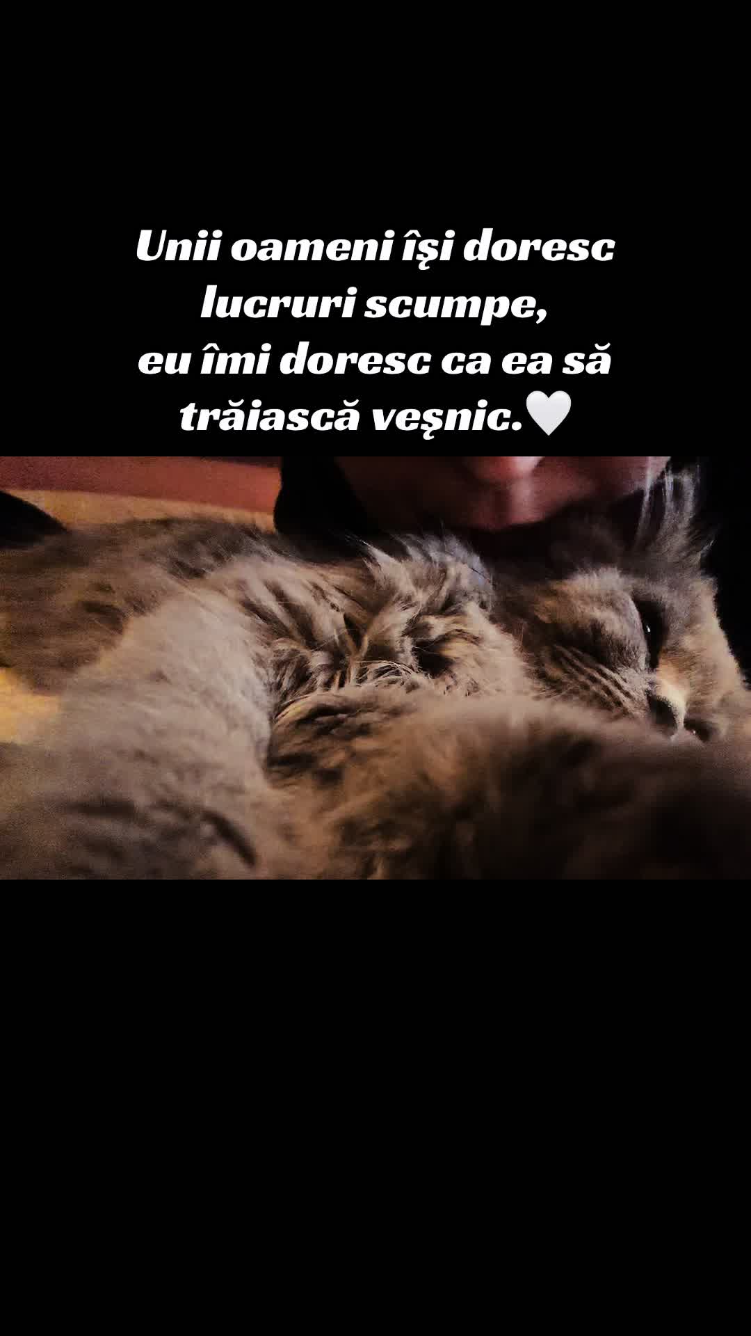 @Oana