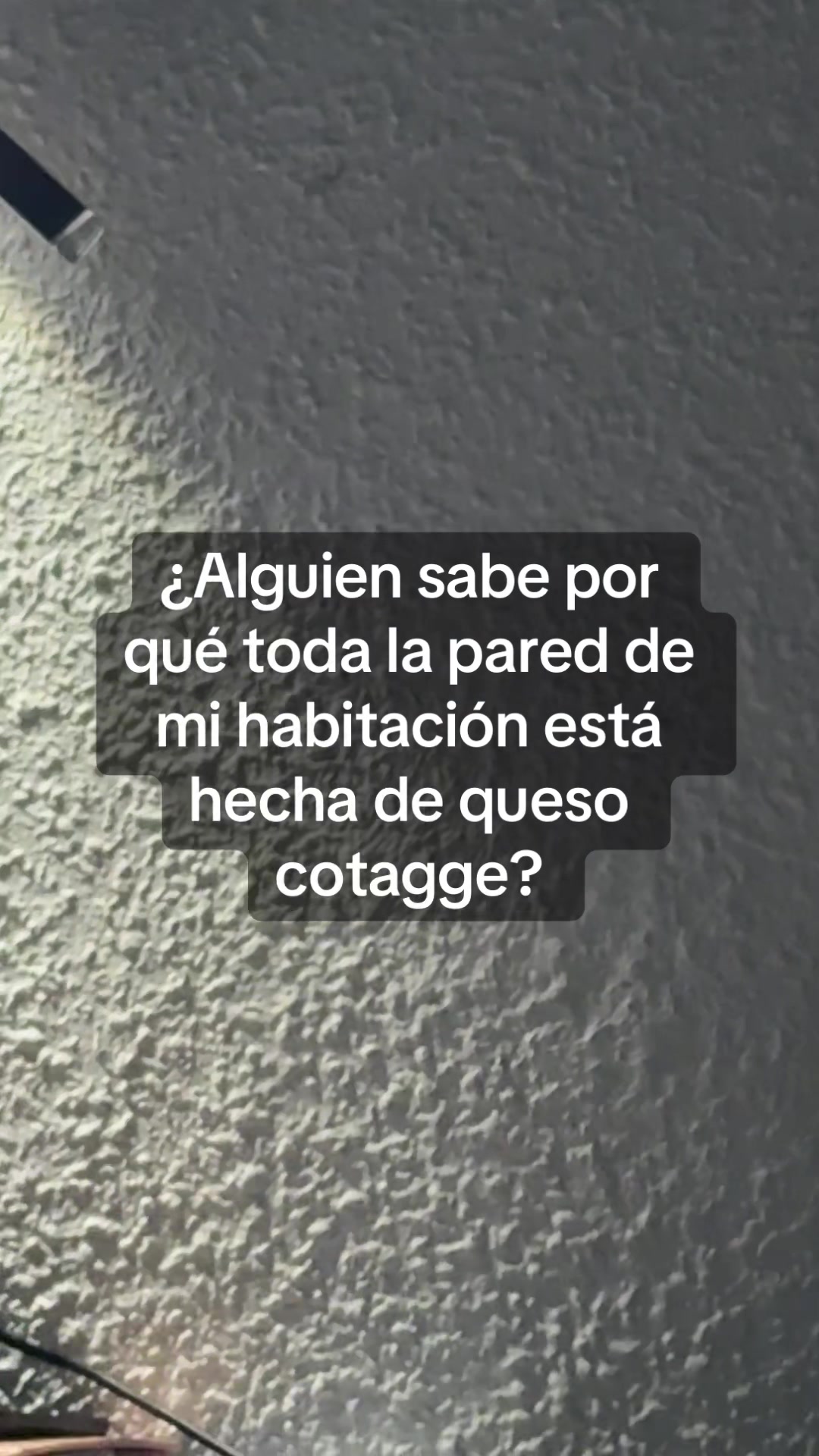 @noeliacts