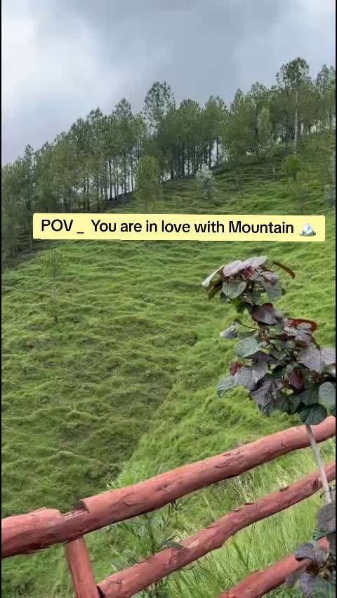 @Themountain_Girl