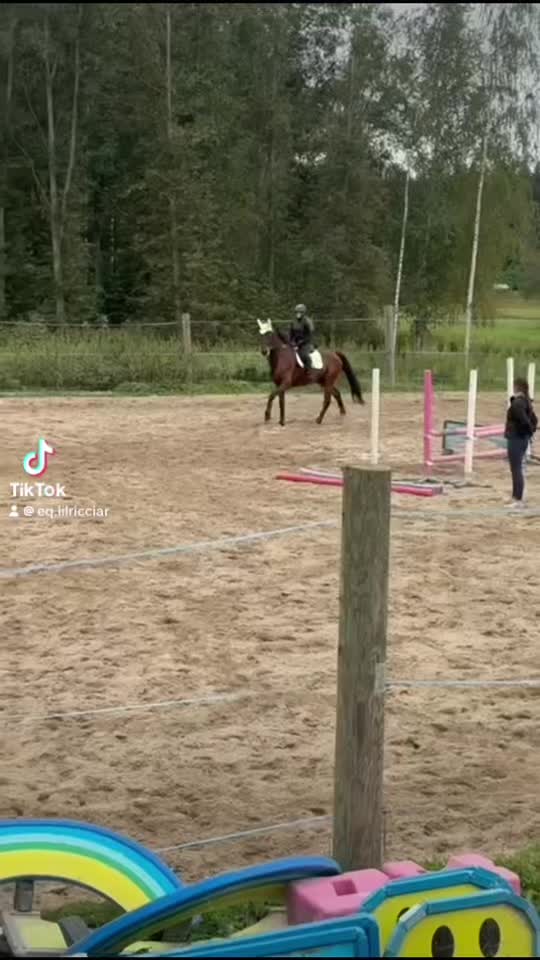 @eq.ricciardella