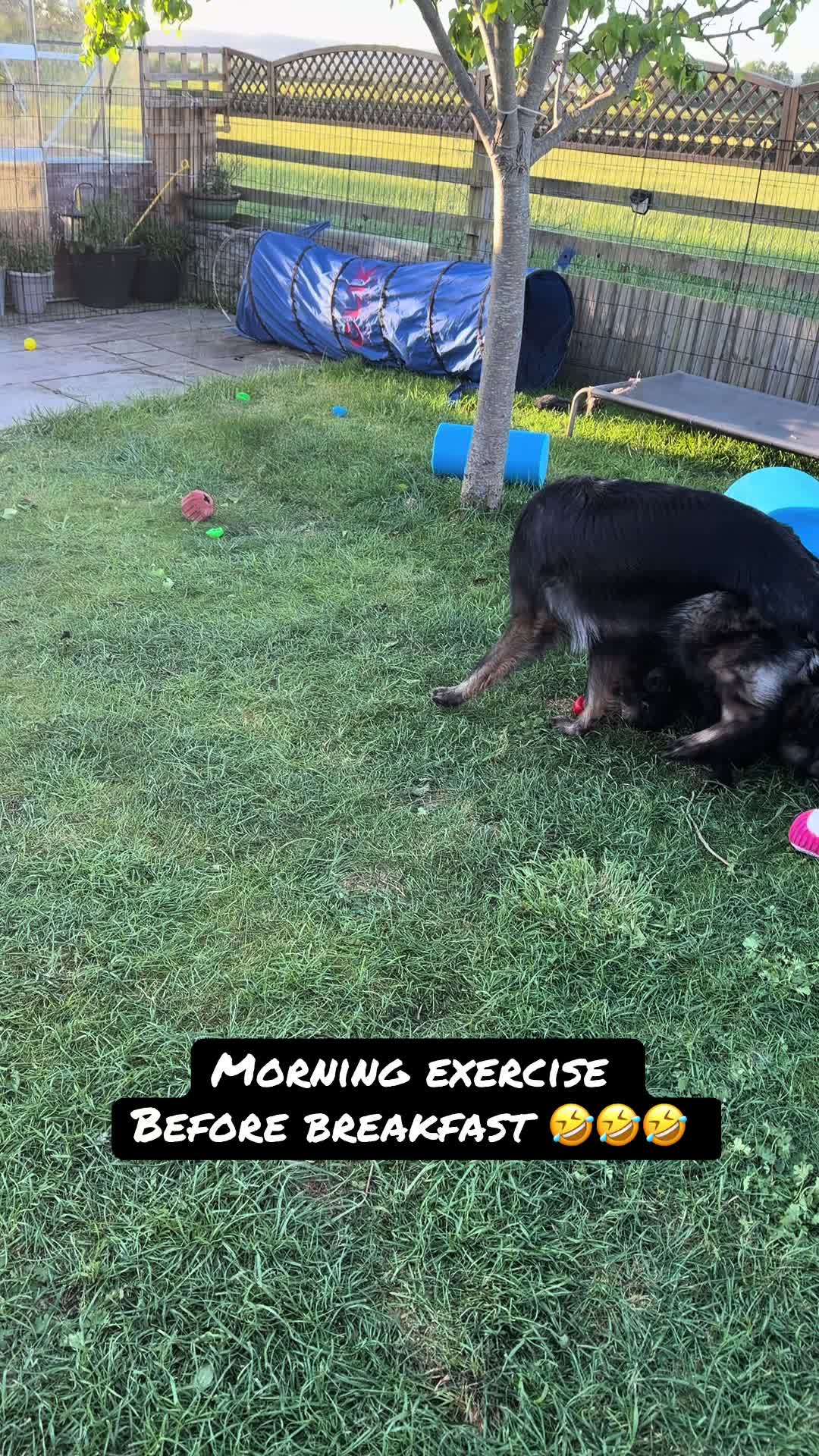 @TheGSDhubwithjennygould