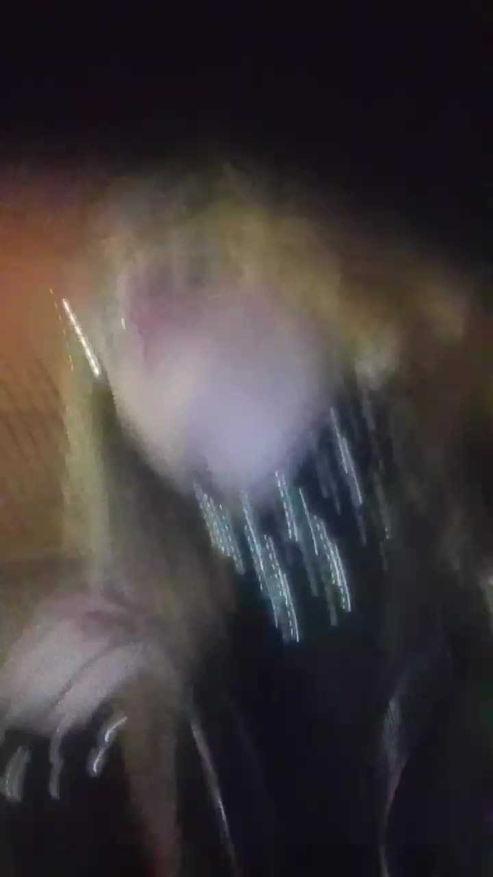 @Jasmine Vite