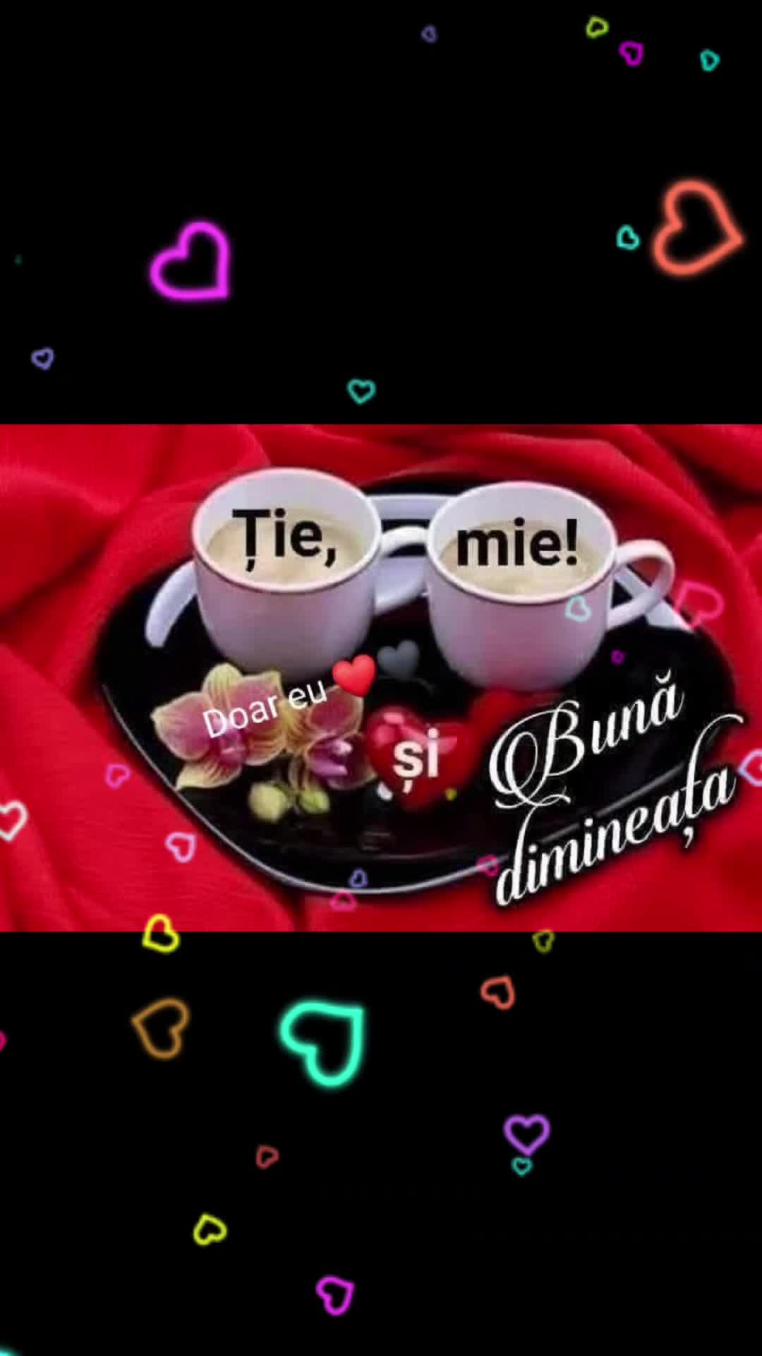 @Nicolae Iamandi Marin