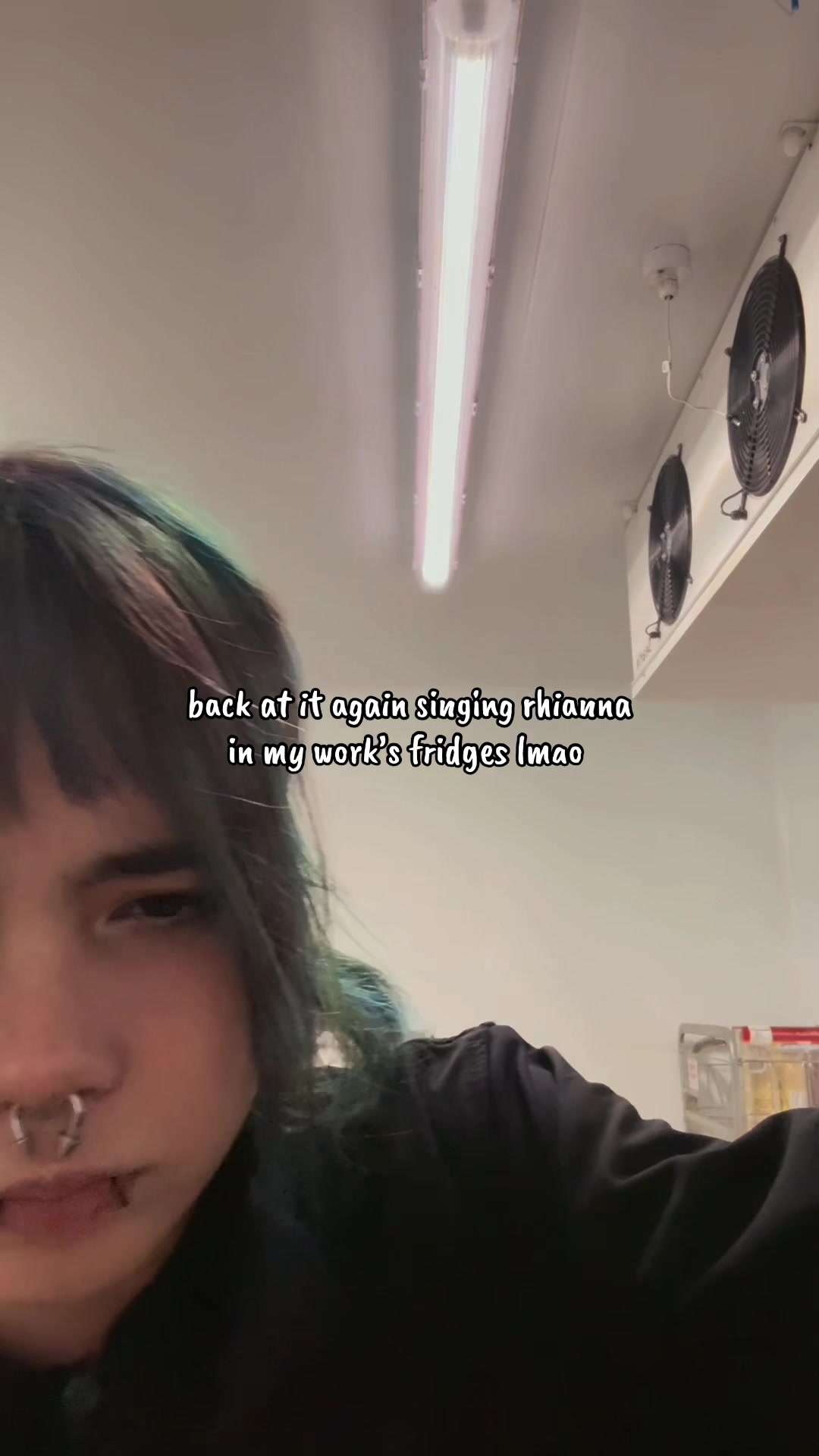 @em 🦊🐾