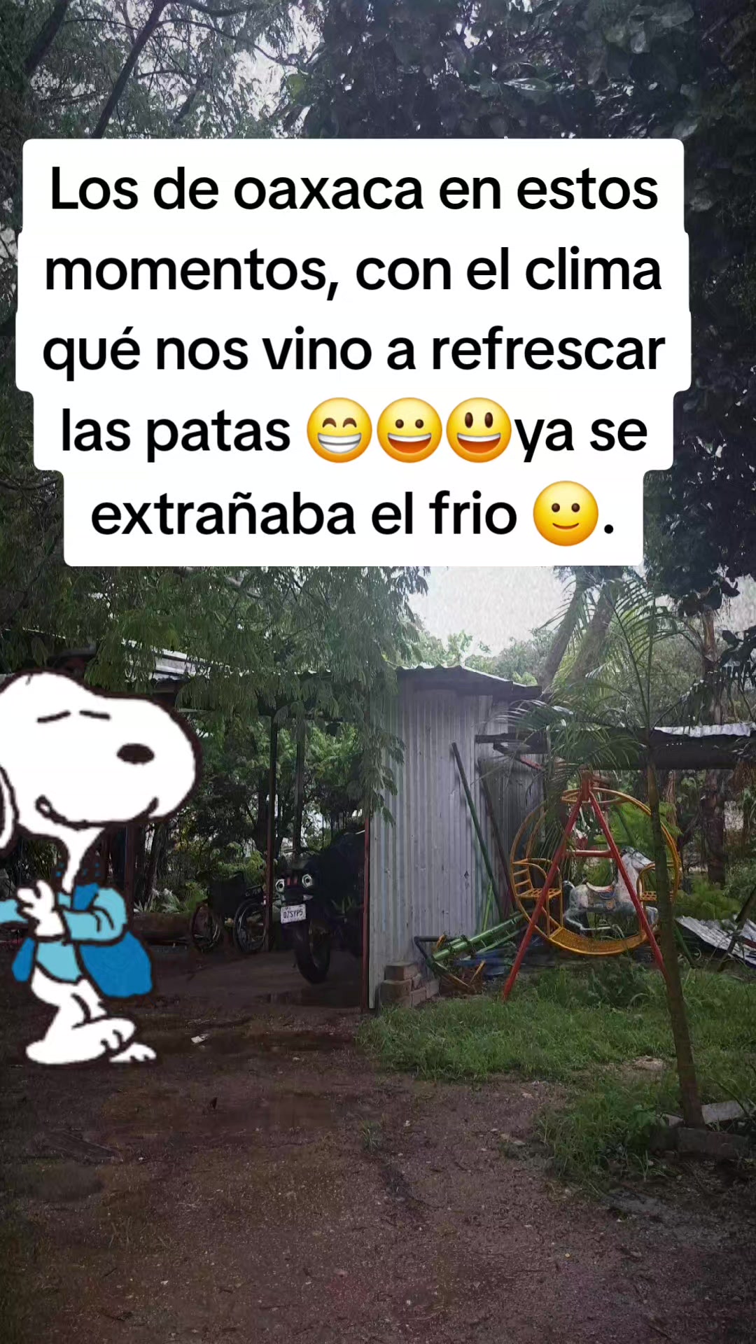 @Lili