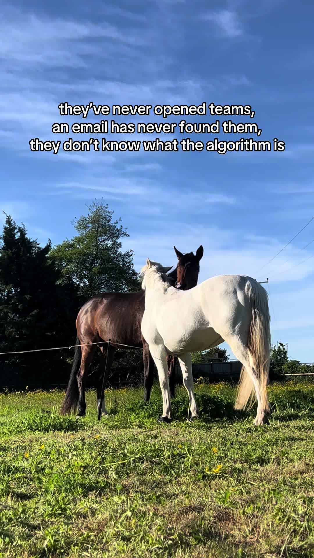 @Protexin Equine