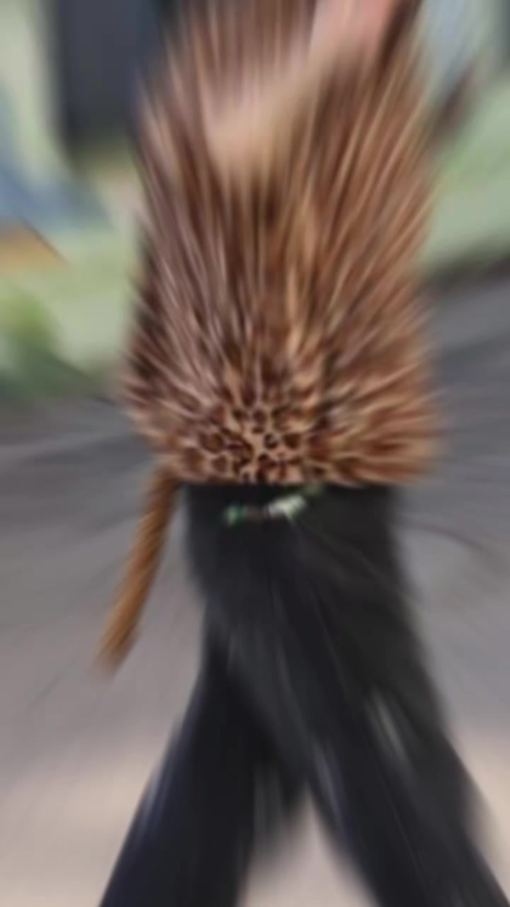 @身着幸福装束