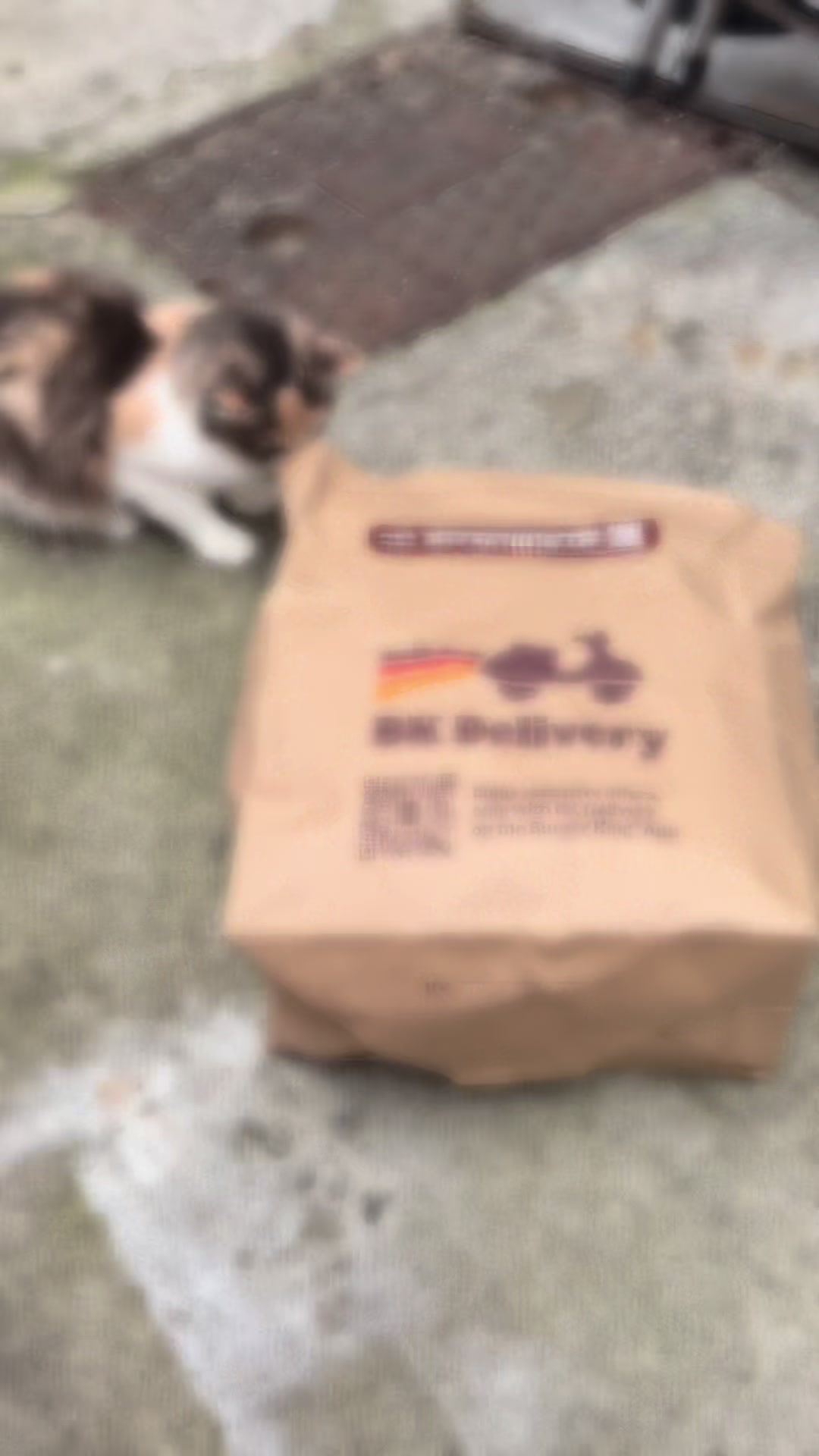 @wildkittyog