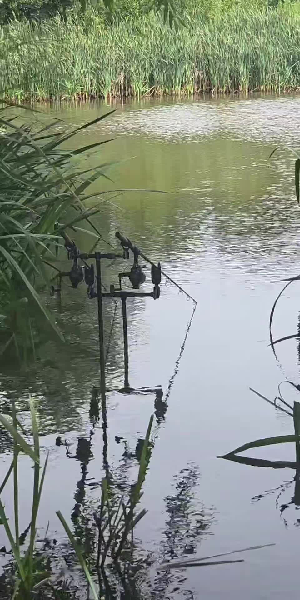 @🎣 Lee Preston 🎣