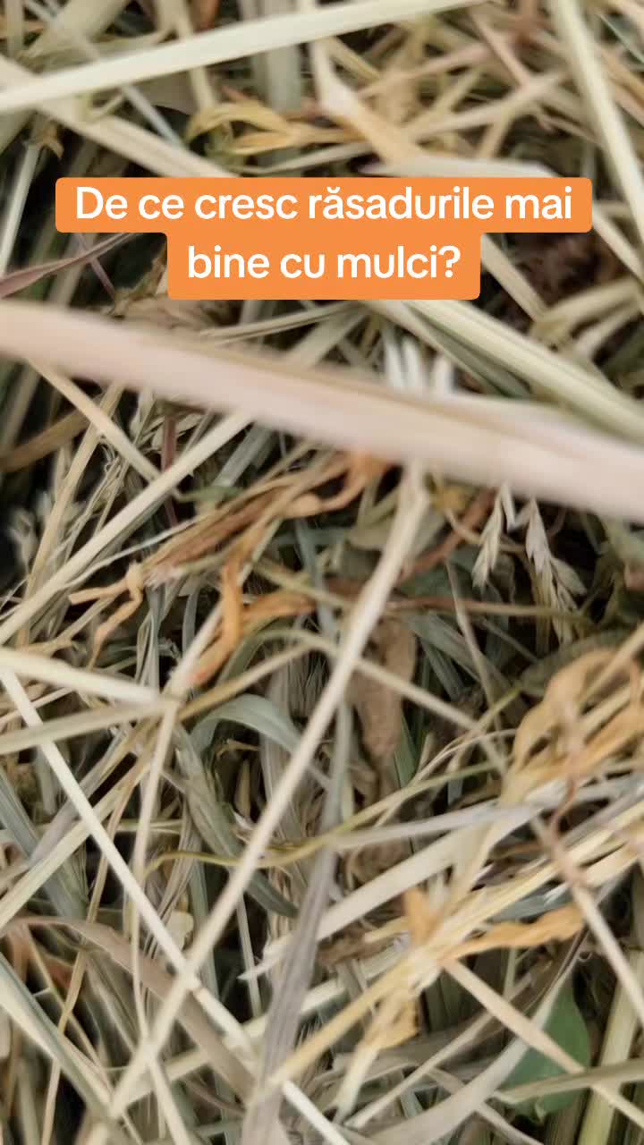 @🍎Din natură & Din tradiție