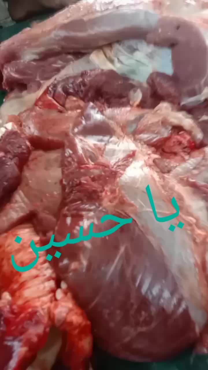 @Ali Hadir